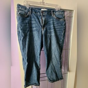 Size 18 Lane Bryant denim crops